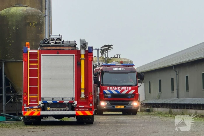 Brandweer ingezet voor dier in nood