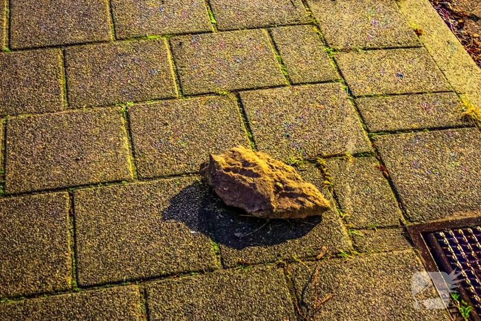 Man zwaargewond bij steekpartij