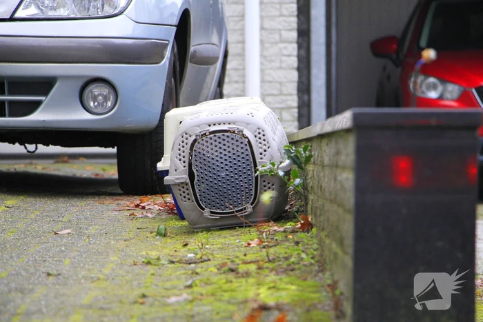 Brandweer haalt drie katten uit woning bij schoorsteenbrand