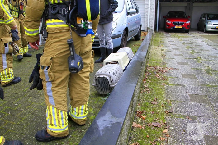 Brandweer haalt drie katten uit woning bij schoorsteenbrand