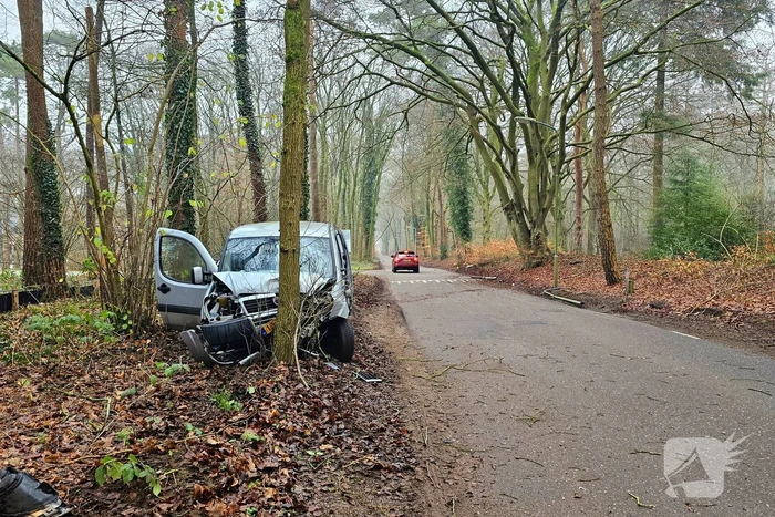 Auto rijdt lantaarnpaal uit grond en knalt tegen boom