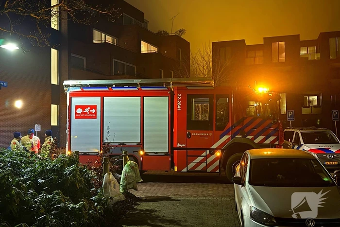 Kat in boom aangetroffen