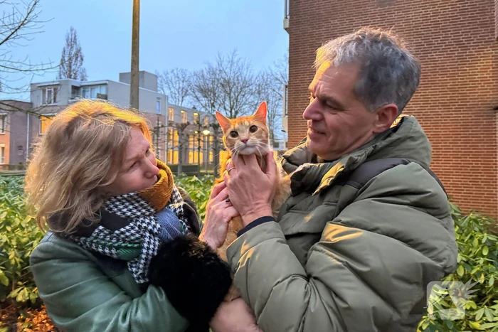 Boomverzorger Jaap redt kat na wekenlang avontuur