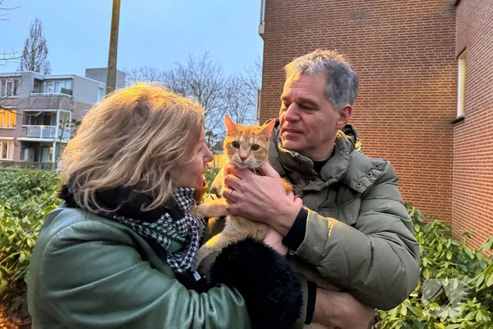 Boomverzorger Jaap redt kat na wekenlang avontuur