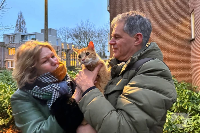 Boomverzorger Jaap redt kat na wekenlang avontuur