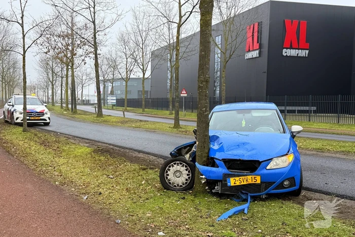 Auto knalt tegen boom in bocht