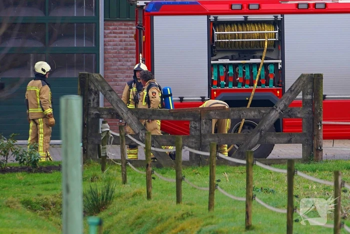Brand in stal met tweehonderd stuks vee
