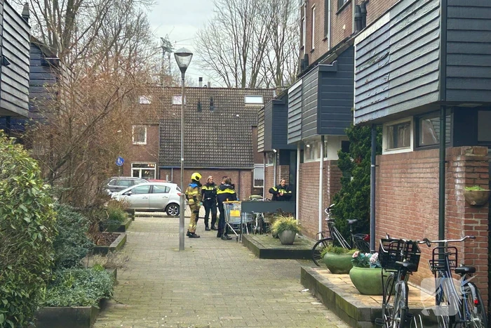 nieuws rompert park 's-hertogenbosch