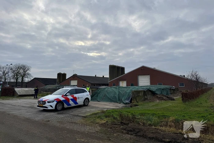 Brand in meterkast van varkensstal
