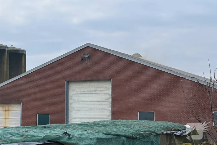 Brand in meterkast van varkensstal