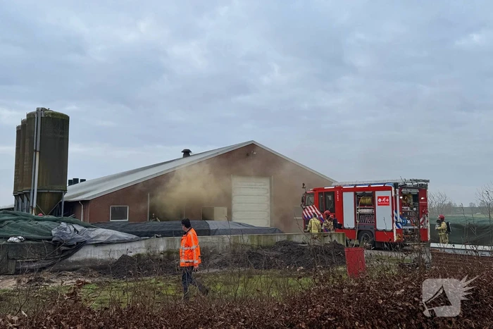 Brand in meterkast van varkensstal