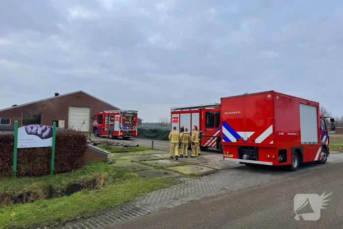 Brand in meterkast van varkensstal