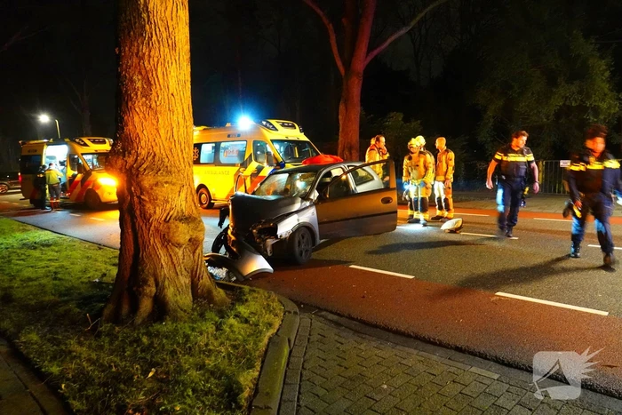 Automobilist belandt tegen een boom
