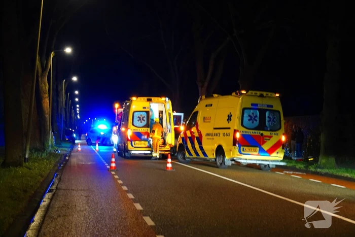 Automobilist belandt tegen een boom
