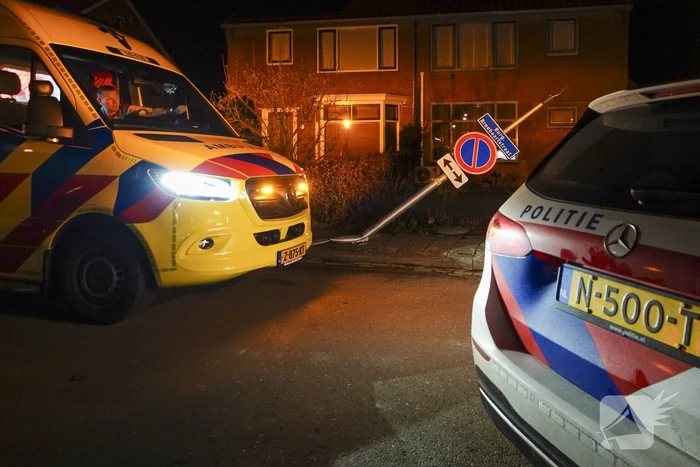 Automobilist ramt lantaarnpaal en kleine paal