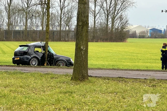 Personenauto botst tegen boom