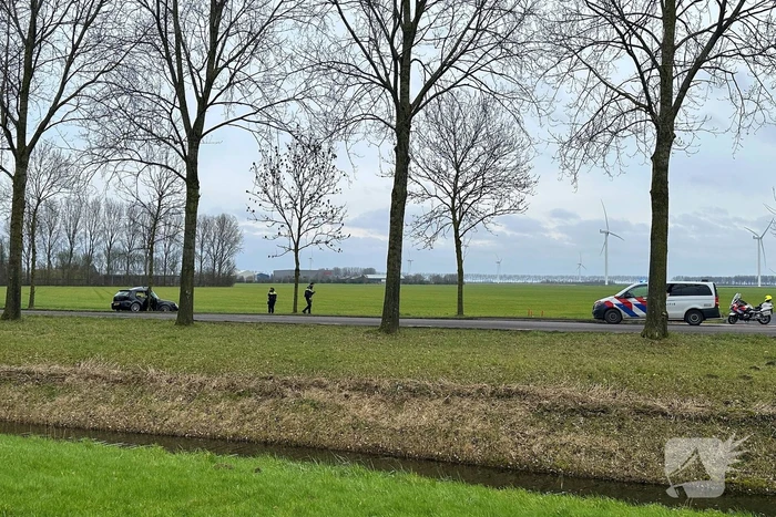 Personenauto botst tegen boom