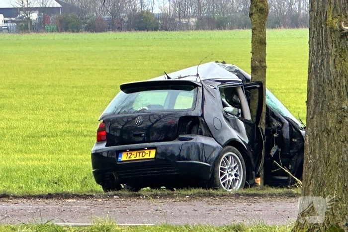Personenauto botst tegen boom