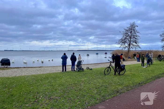 Veel vogelliefhebbers op de been voor neergestreken flamingo's