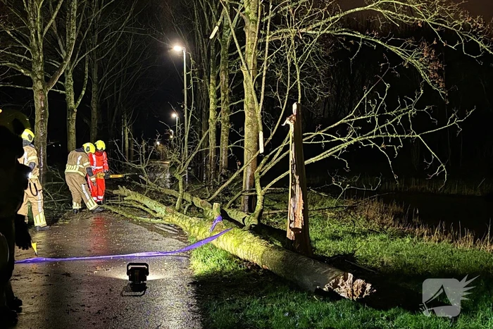 natuur groenezoom waddinxveen