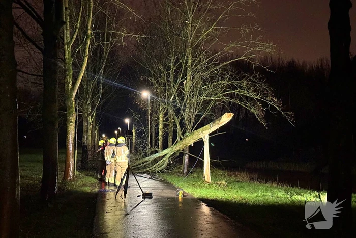 Boom valt over fietspad