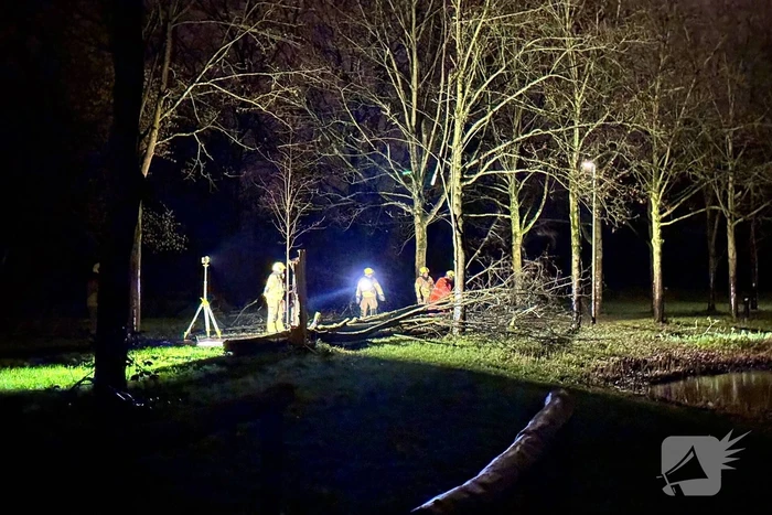 Boom valt over fietspad