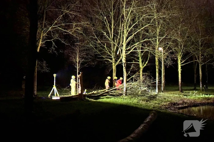 Boom valt over fietspad