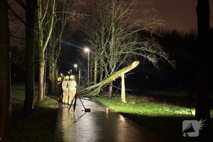 Boom valt over fietspad