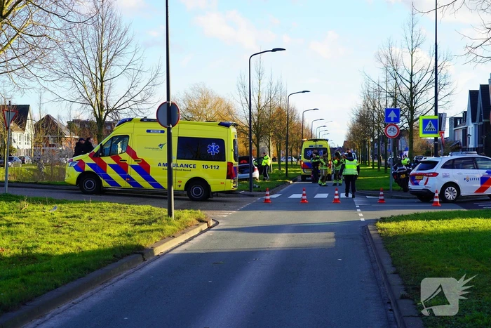 Flinke schade nadat automobilist op boom botst
