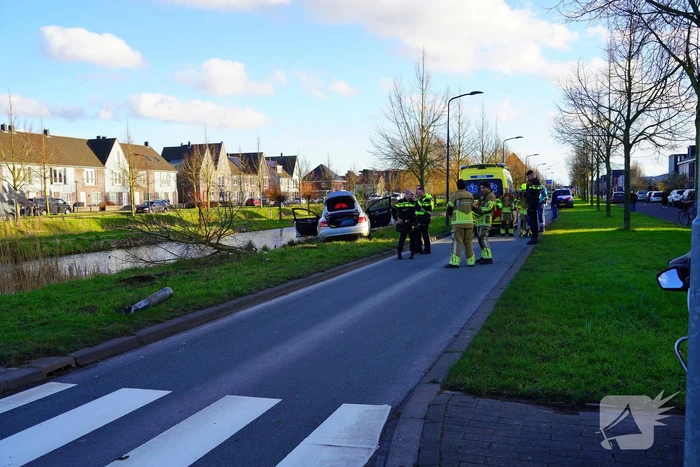 Flinke schade nadat automobilist op boom botst