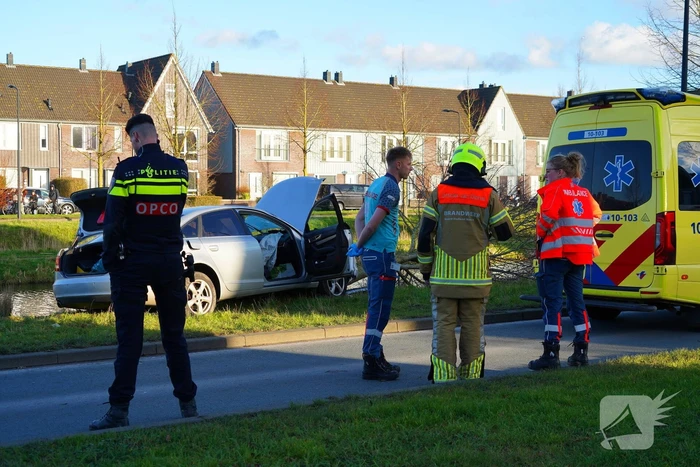 Flinke schade nadat automobilist op boom botst