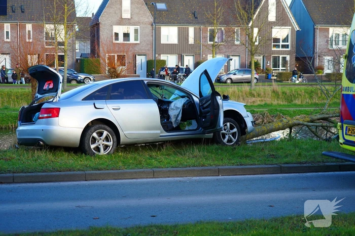 Flinke schade nadat automobilist op boom botst
