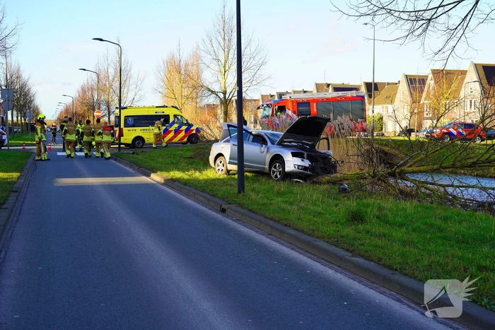 Flinke schade nadat automobilist op boom botst