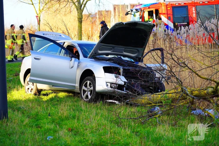 Flinke schade nadat automobilist op boom botst