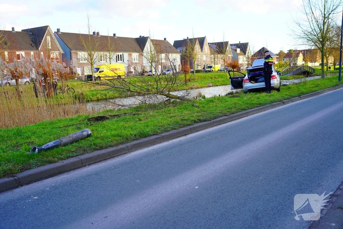 Flinke schade nadat automobilist op boom botst