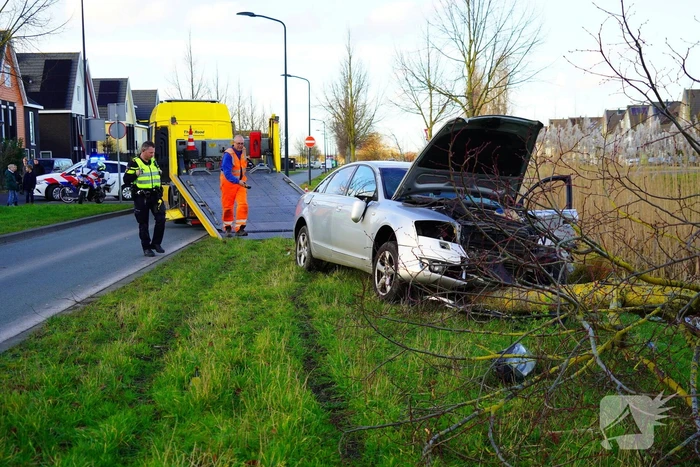 Flinke schade nadat automobilist op boom botst