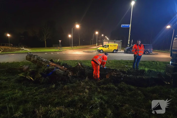 Chauffeur rijdt rechtdoor op rotonde en knalt tegen boom