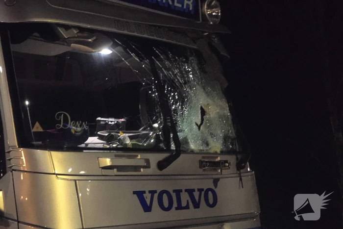 Chauffeur rijdt rechtdoor op rotonde en knalt tegen boom