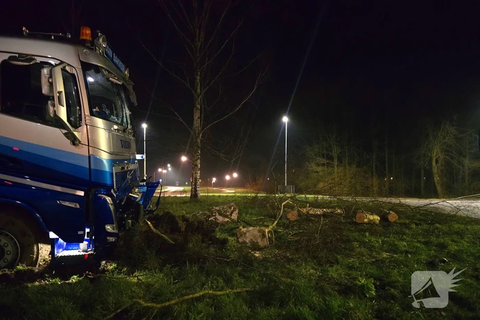 Chauffeur rijdt rechtdoor op rotonde en knalt tegen boom