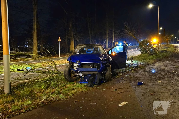 Jaguar i-pace rijdt meer bomen omver, bestuurder aangehouden