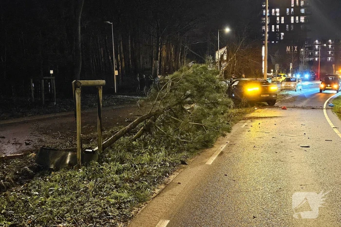 Jaguar i-pace rijdt meer bomen omver, bestuurder aangehouden