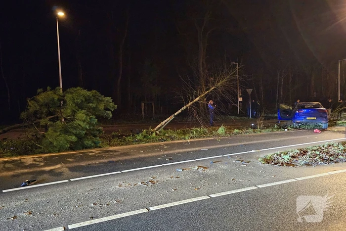 Jaguar i-pace rijdt meer bomen omver, bestuurder aangehouden