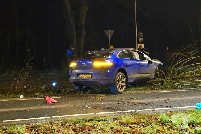 Jaguar i-pace rijdt meer bomen omver, bestuurder aangehouden