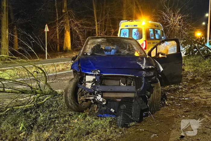 Jaguar i-pace rijdt meer bomen omver, bestuurder aangehouden