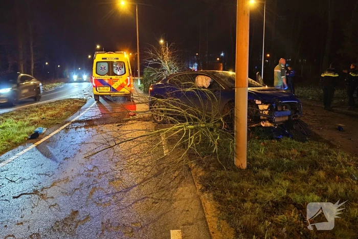 Jaguar i-pace rijdt meer bomen omver, bestuurder aangehouden