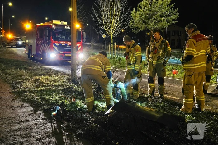 Jaguar i-pace rijdt meer bomen omver, bestuurder aangehouden