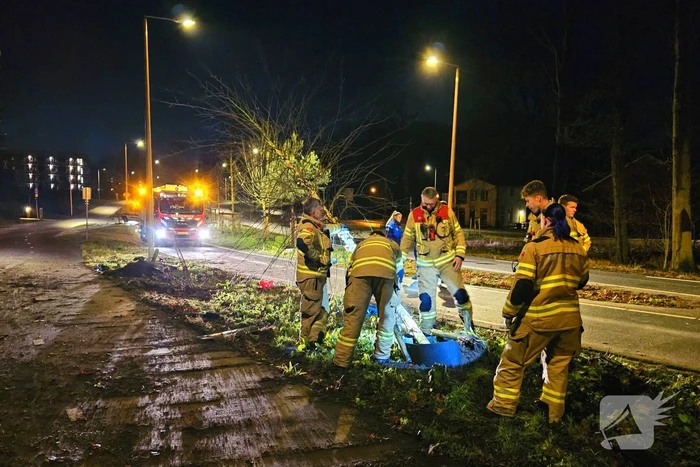 Jaguar i-pace rijdt meer bomen omver, bestuurder aangehouden