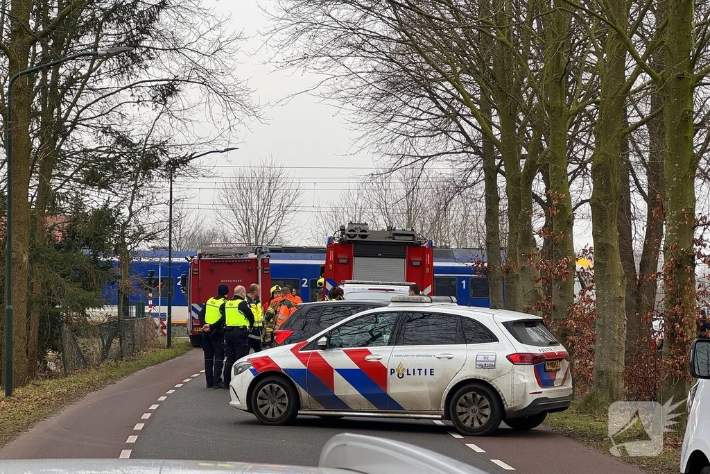 Runsdijk Nieuws Esch 
