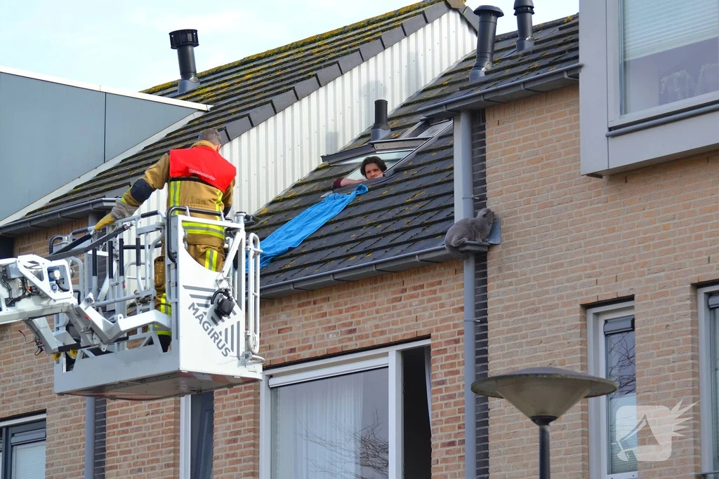 Begijnenweide Heemskerk 112 