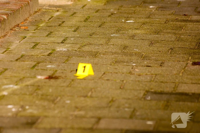 Onderzoek naar aantreffen overleden persoon, verdachte aangehouden